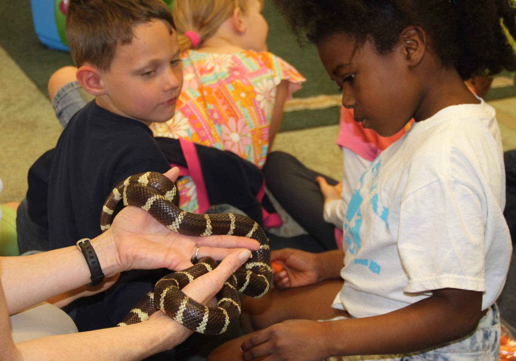 Animal Ambassadors | Classroom Visit