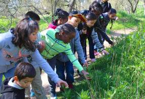 Hike With a Naturalist