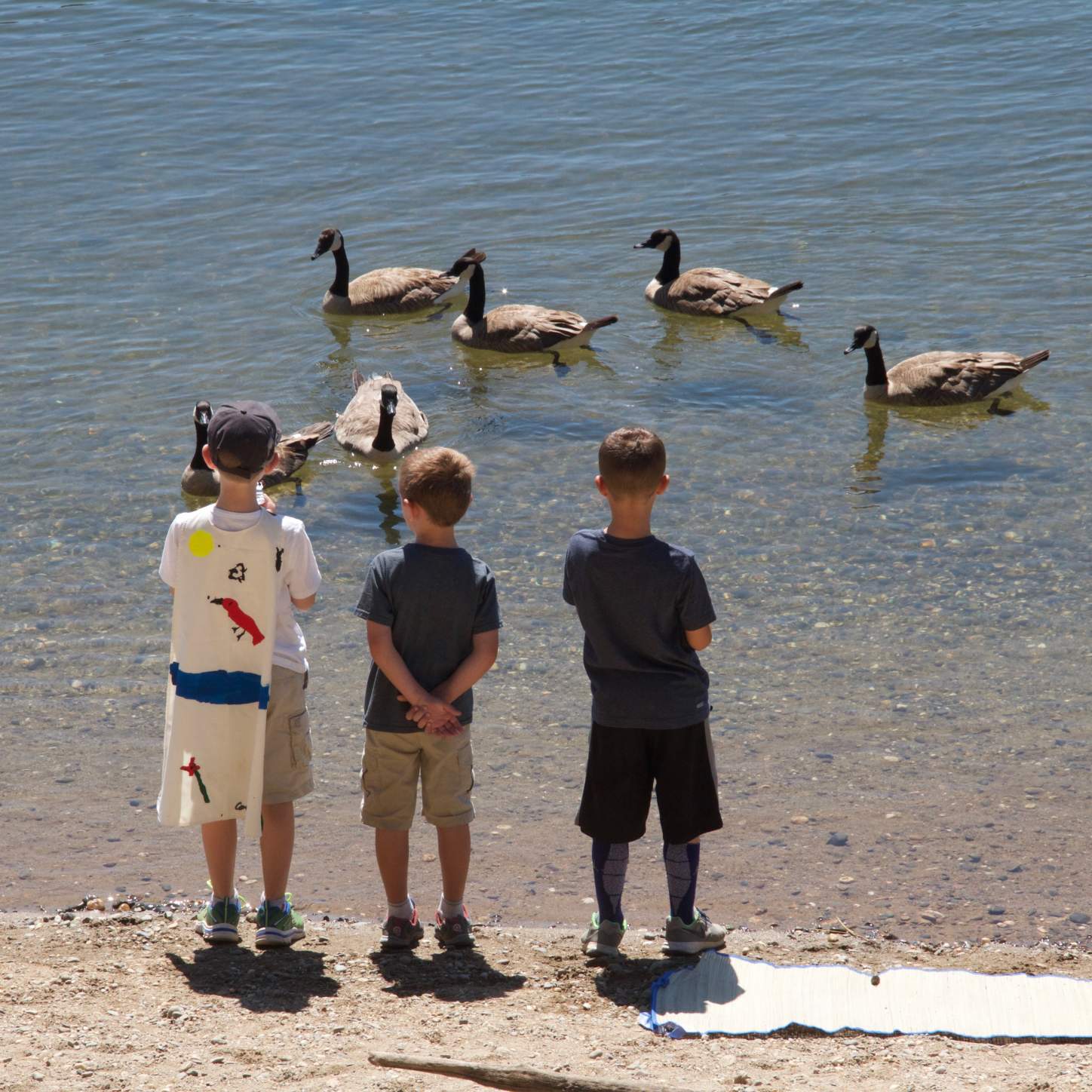 Birds of a Feather | Ages 8-11