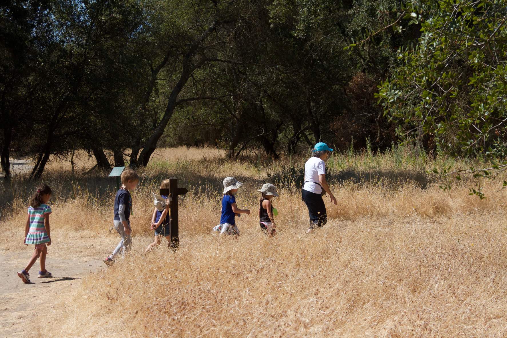 Woodland Tales  |  Ages 6-7