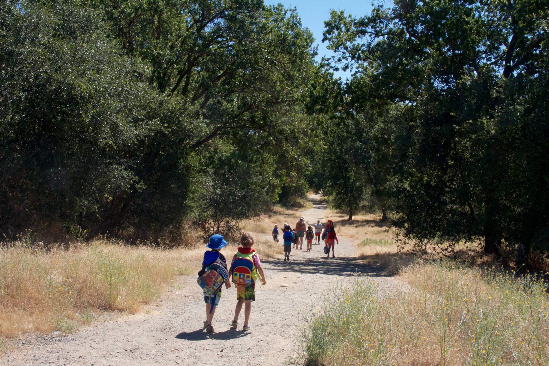 Nature-ology  |  Ages 8-11