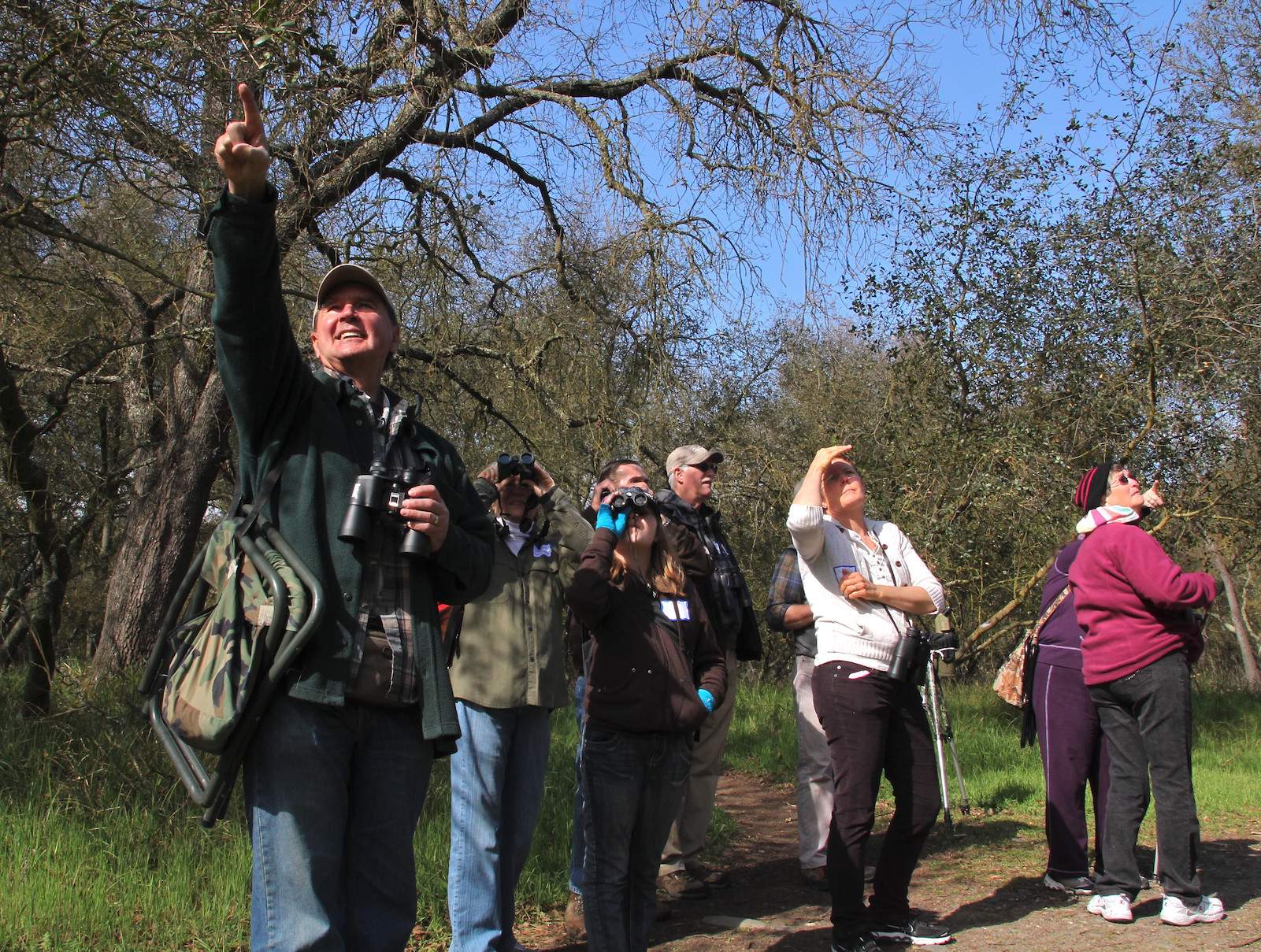Bird and Breakfast | Traditional Birding