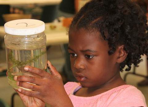 Pond and River | Classroom Lab ONLY